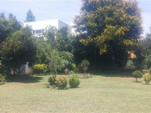 5 Bed House in Ben Fleur
