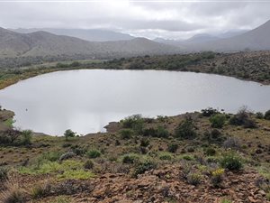 1500 ha Farm in Prince Albert