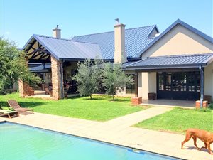 8 ha Farm in Hekpoort