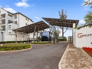 3 Bed Apartment in Petervale