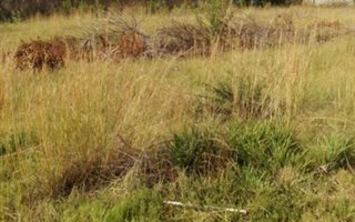 1000 m² Land available in Riamarpark