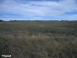 381 ha Farm in Burgersdorp