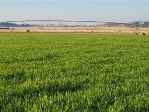 682 ha Farm in Dewetsdorp