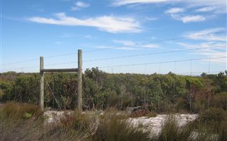 18.7 ha Land available in Hopefield