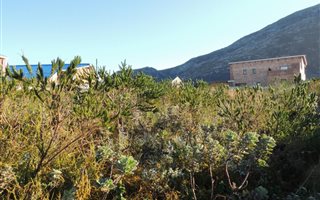 884 m² Land available in Bettys Bay