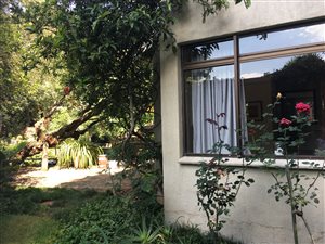 1 Bedroom Garden Cottage in Parkview
