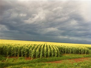1426 ha Farm in Ventersdorp