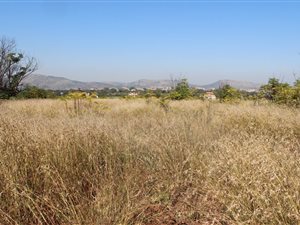 1 ha Land available in Rietfontein