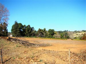 4.2 ha Land available in Merrivale