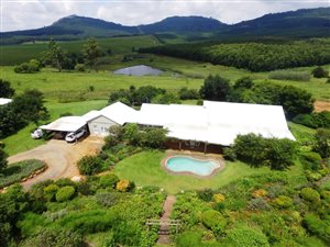 17 ha Farm in Birnamwood