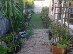 3 Bed House in Blanco