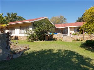 1192 ha Farm in Koster