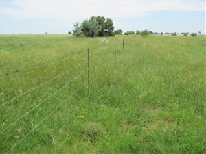 391 ha Farm in Schweizer Reyneke
