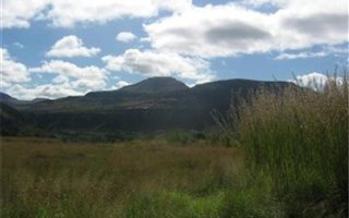 920 m² Land available in Fouriesburg