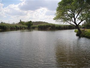 5 ha Farm in Sasolburg