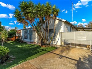 3 Bed House in Springs Central