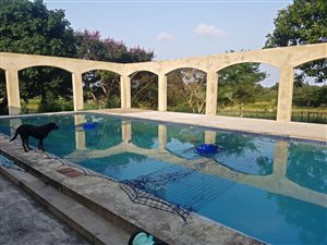 2.5 ha Farm with House in Margate
