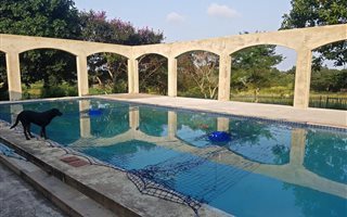 2.5 ha Farm with House in Margate
