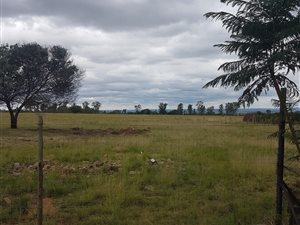 21.3 ha Farm in Honingnestkrans