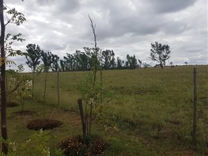 21.3 ha Farm in Honingnestkrans