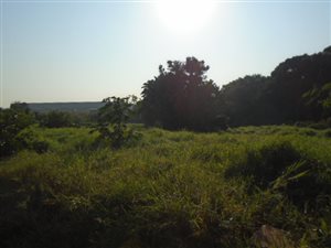 17 ha Land available in Prospecton Industrial