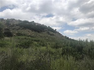 2658 m² Land available in Bronkhorstbaai