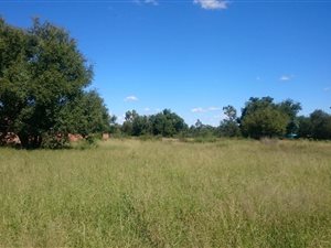 3902 m² Land available in Orkney