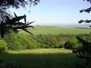 1201 m² Land available in Mtunzini