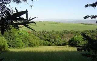 1201 m² Land available in Mtunzini
