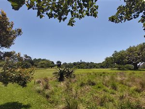 988 m² Land available in Eshowe