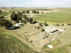 375 ha Farm in Heilbron
