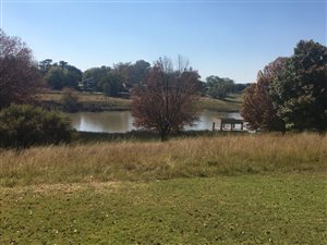 5.2 ha Farm in Deneysville