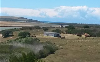 80 ha Farm in Gouritsmond