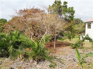 822 m² Land available in Shelly Beach