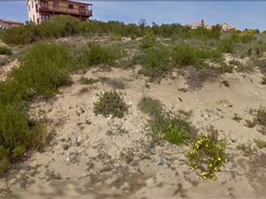 574 m² Land available in Reebok