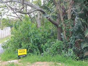 1496 m² Land available in Uvongo
