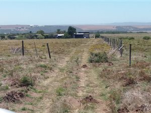 200 ha Farm in Gouritsmond