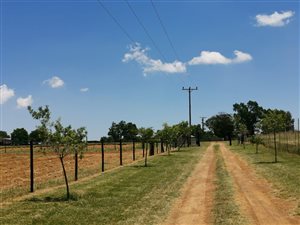 8.6 ha Farm in Tarlton