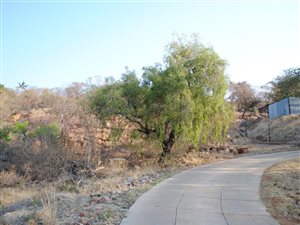 1 ha Land available in Silverton