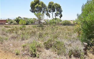 982 m² Land available in Napier
