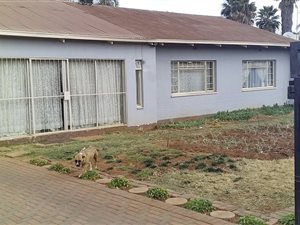 4 Bed House in Silverton