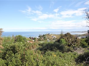 1019 m² Land available in Brenton on Sea
