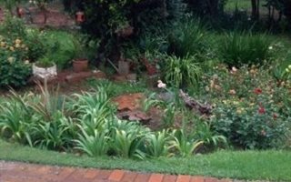 1 Bedroom Apartment in Cyrildene