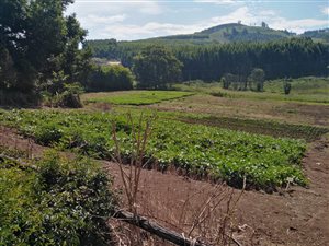 8 ha Farm in Richmond