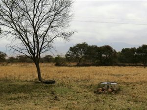 163.1 ha Farm in Lydenburg