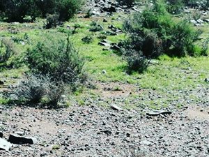 3511 ha Farm in Kenhardt
