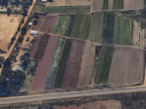 Smallholding in Glen Austin AH