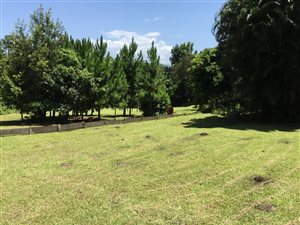 2.1 ha Farm in Port Edward