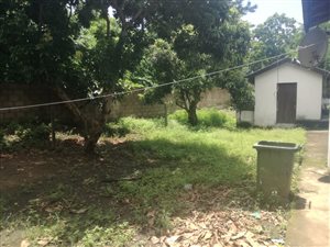3 Bed House in Wyebank