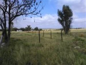 5 ha Land available in Honingnestkrans